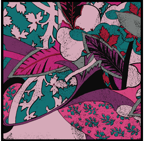 Orient Express Fuchsia